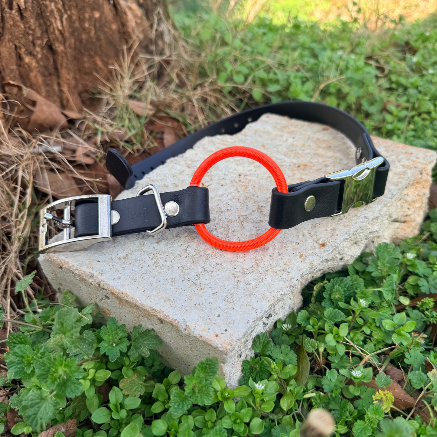 3/4" Bungee Quick Release E Collar Strap - Neon Orange Bungee