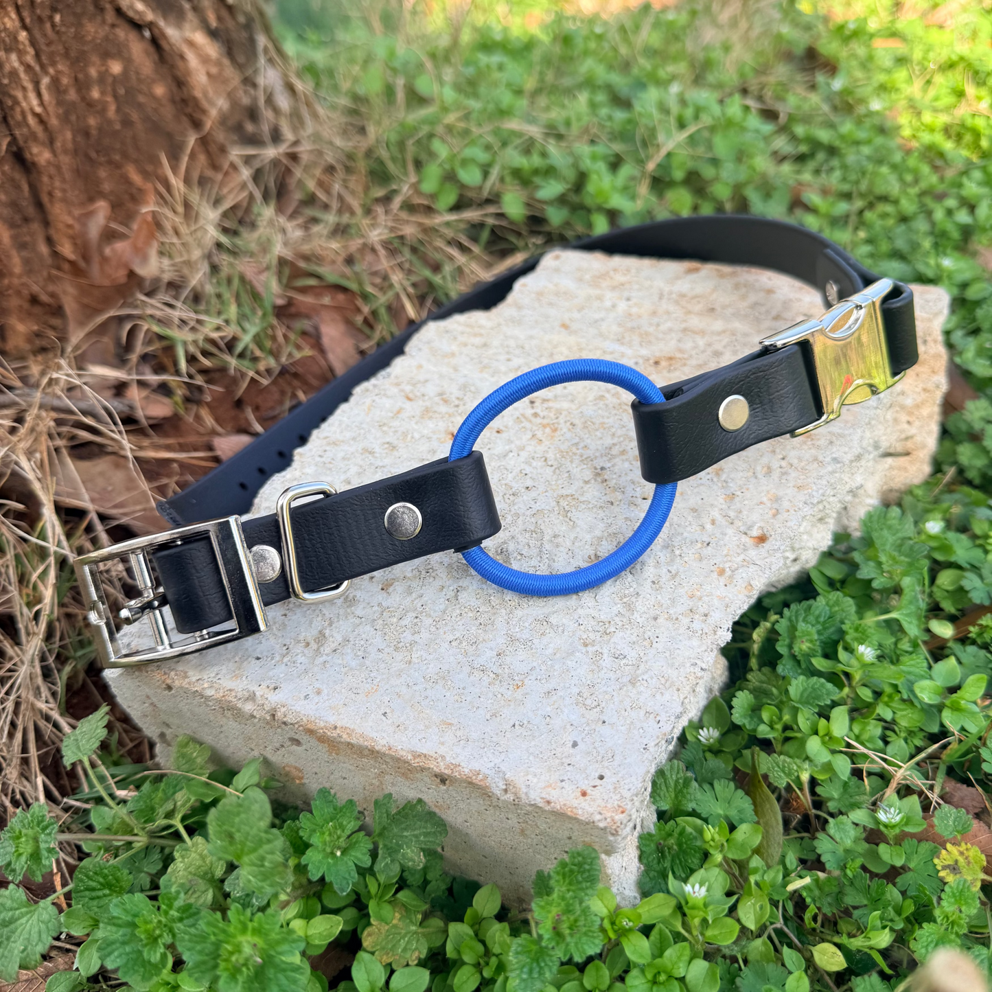 3/4" Bungee Quick Release E Collar Strap - Royal Blue Bungee