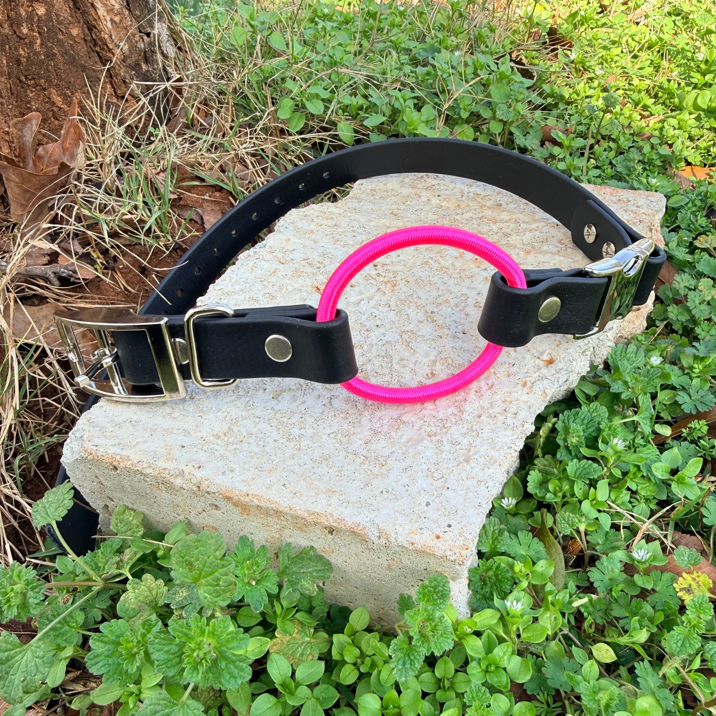 3/4" Bungee Quick Release E Collar Strap - Neon Pink Bungee