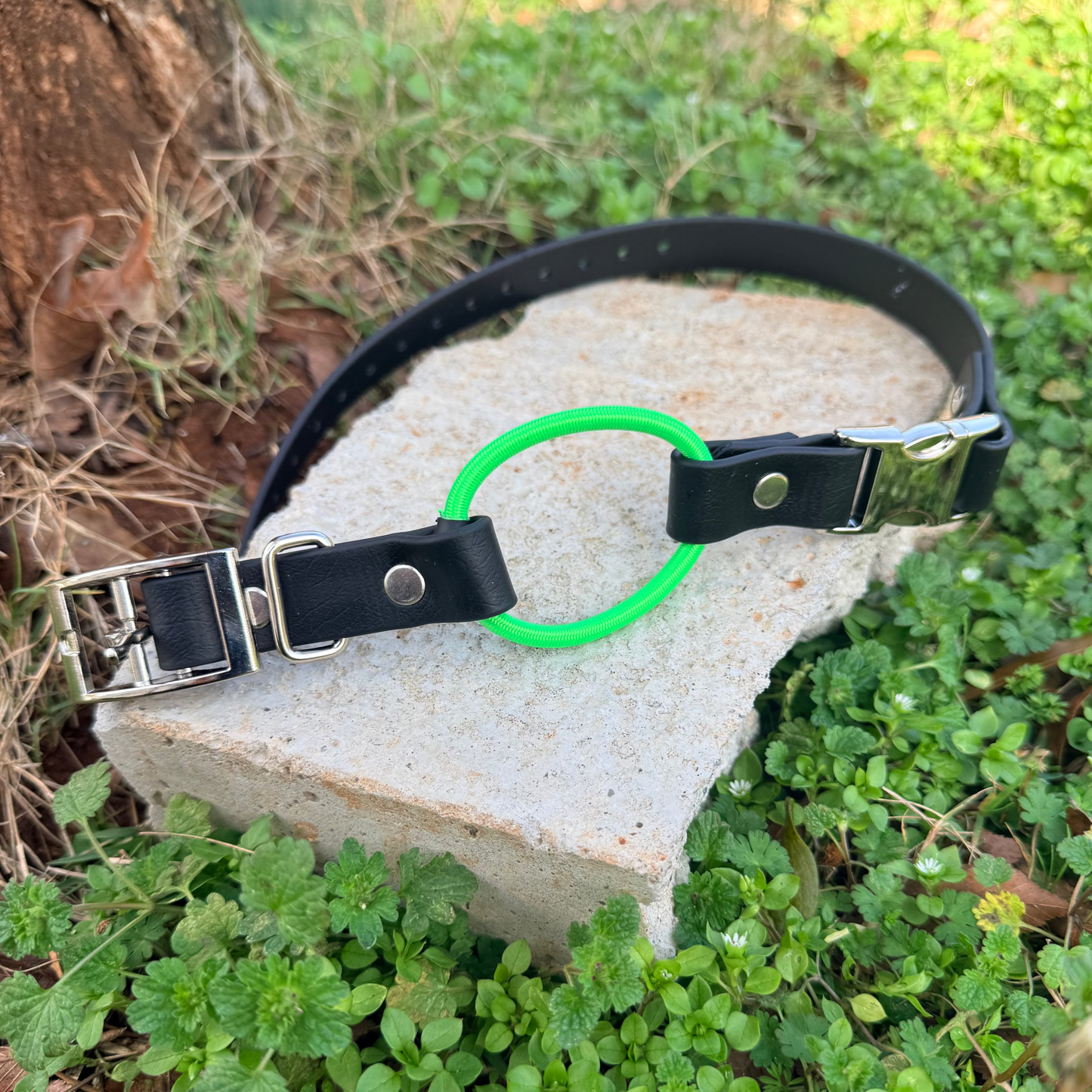 3/4" Bungee Quick Release E Collar Strap - Neon Green Bungee