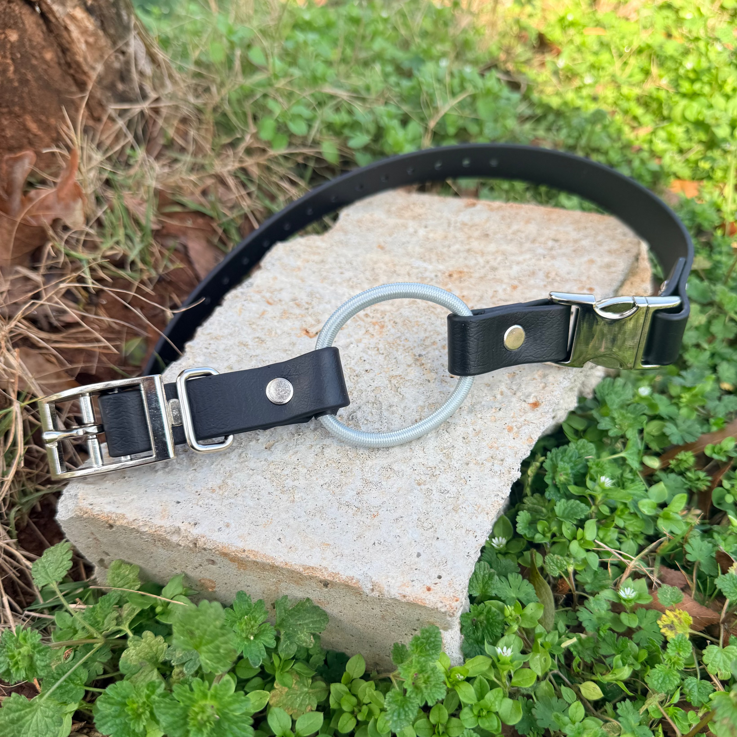 3/4" Bungee Quick Release E Collar Strap - Silver Bungee