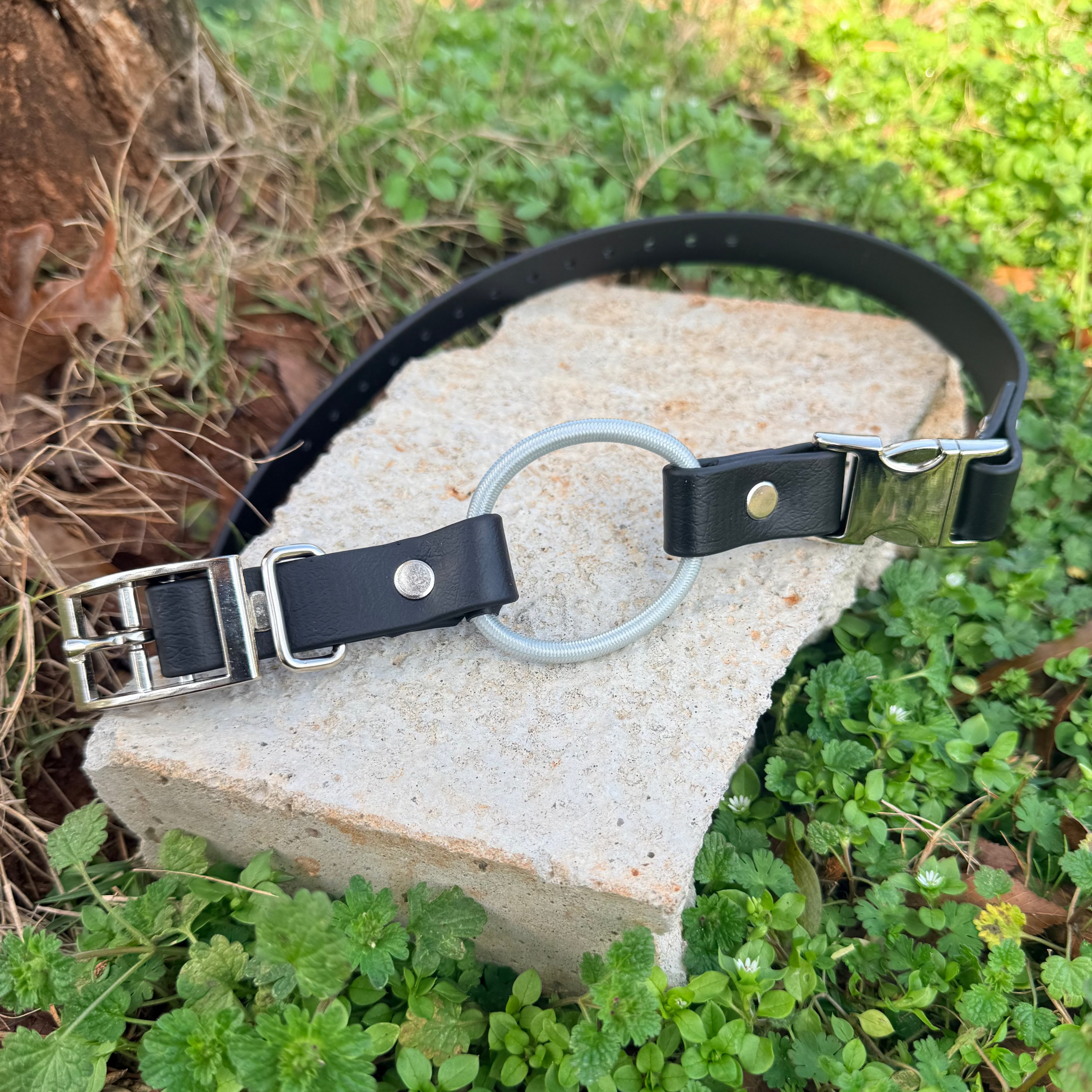 3/4" Bungee Quick Release E Collar Strap - Silver Bungee