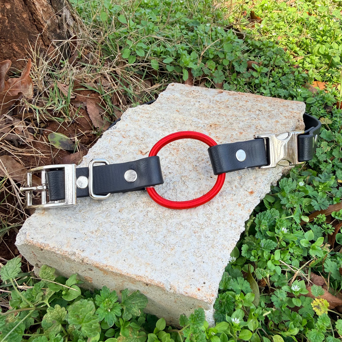 3/4" Bungee Quick Release E Collar Strap - Red Bungee