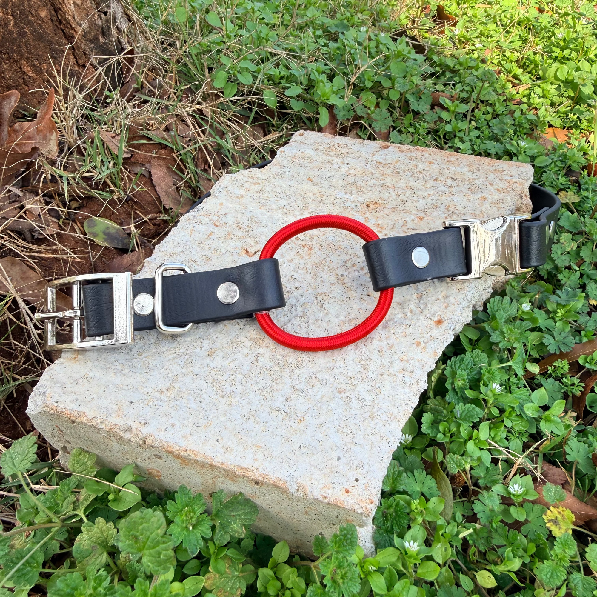 PREMADE 14-20" E Collar Strap - Black w/ Red Bungee