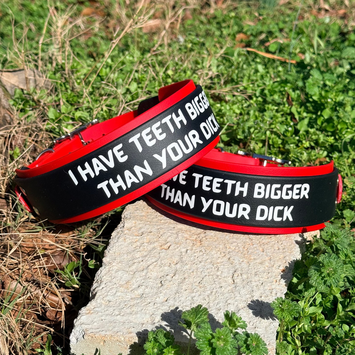2" I Have Teeth Bigger Than Your Dick Collar