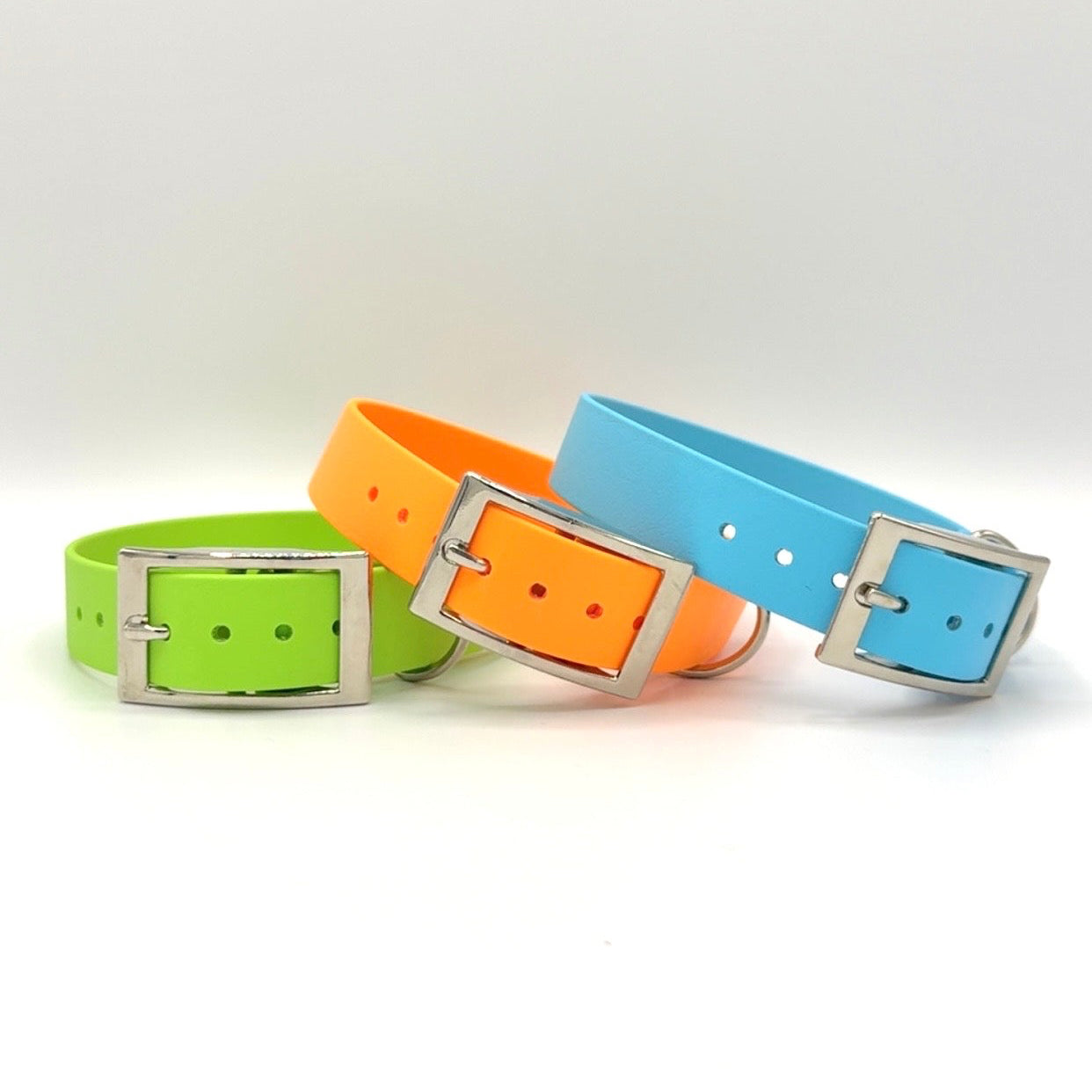 1" Buckle Collar