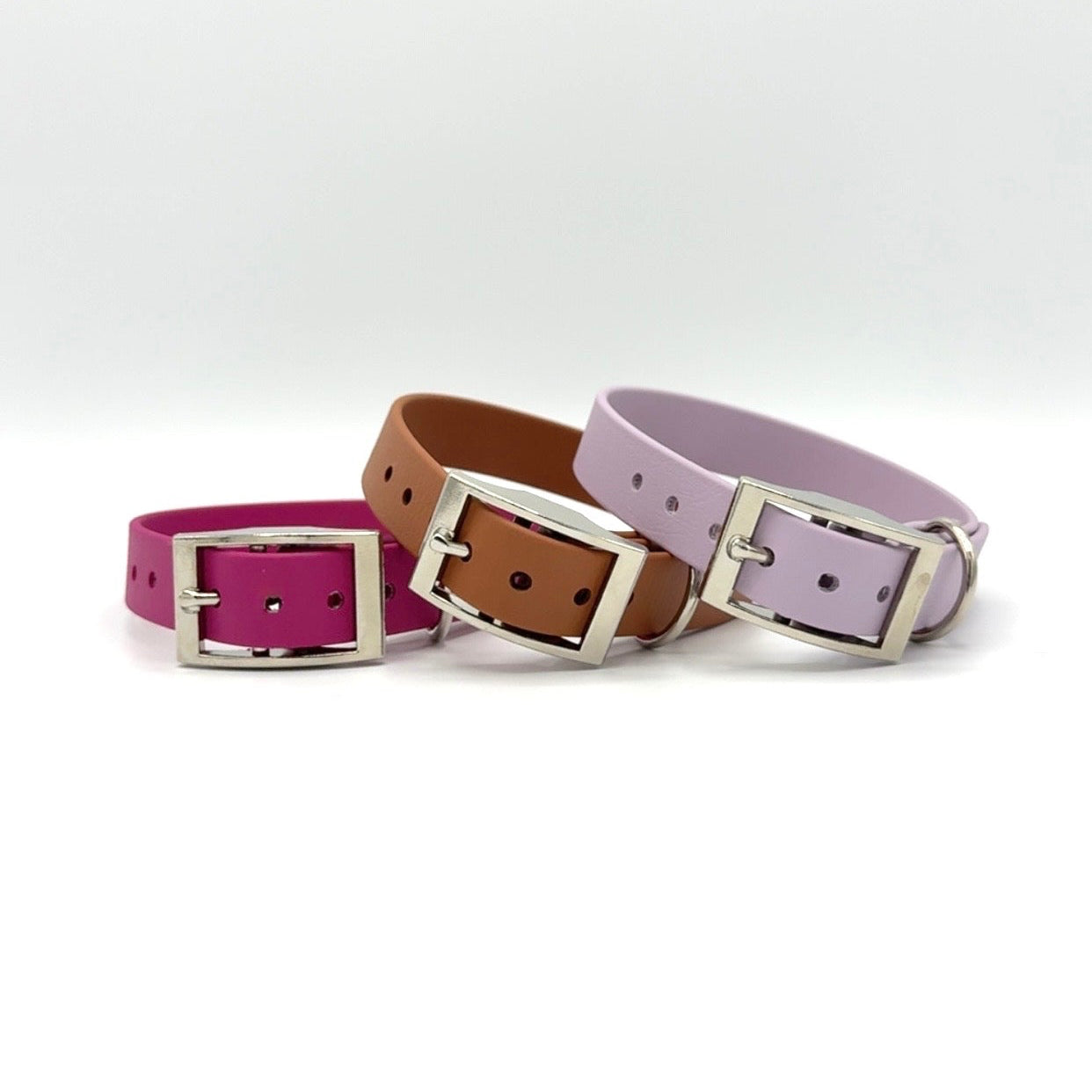 3/4" Buckle Collar