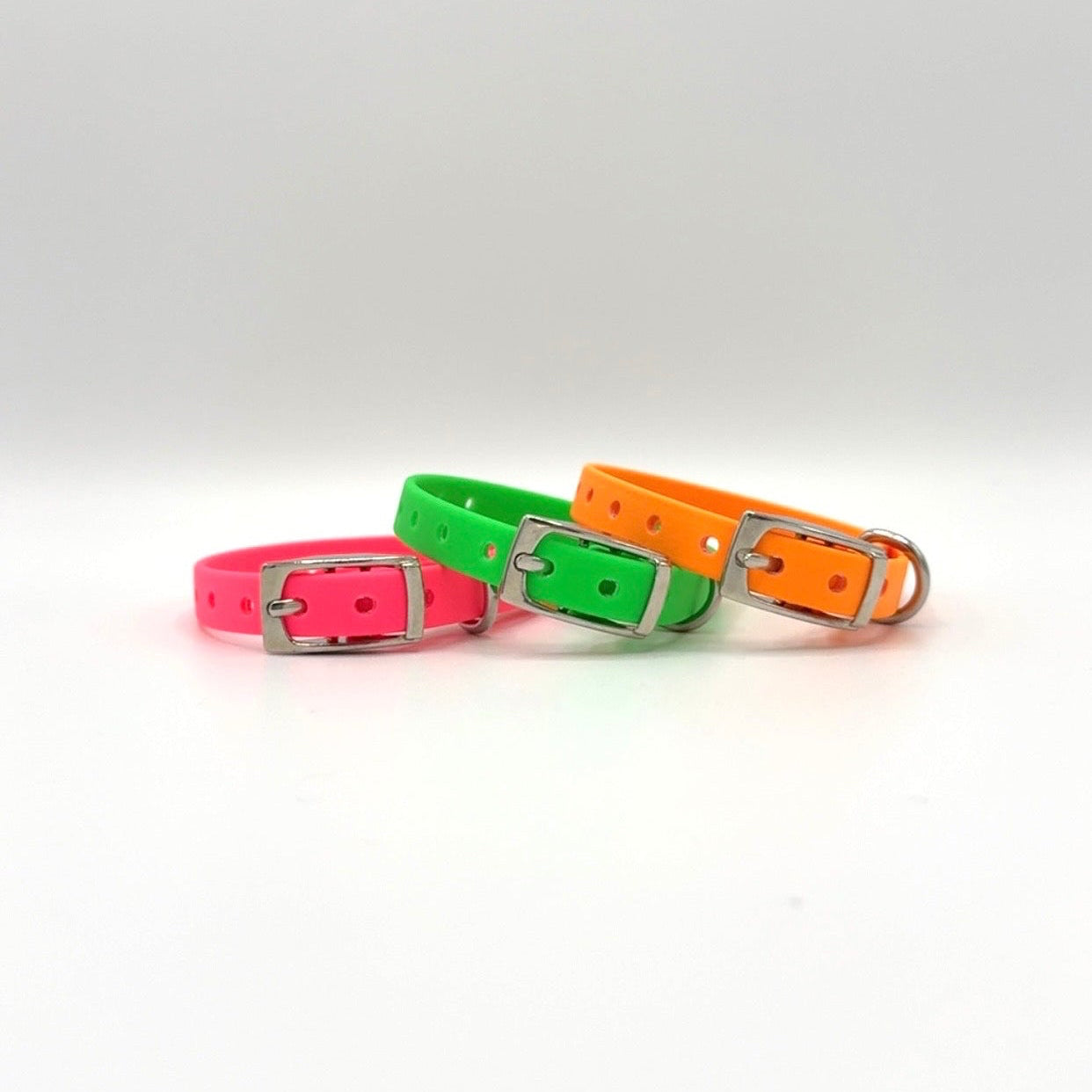 1/2" Buckle Puppy Collar