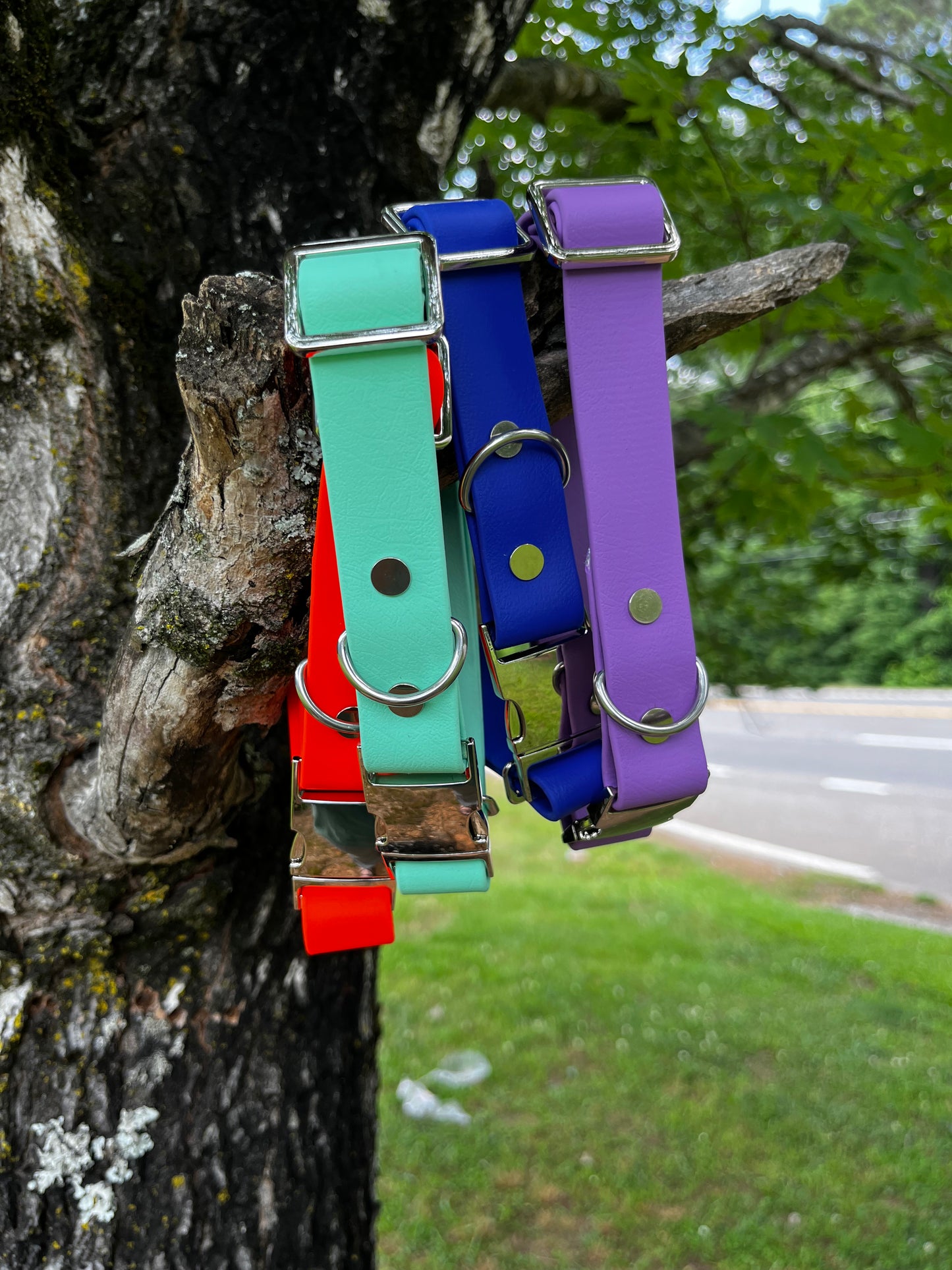 1" Biothane® Clasp Dog Collar