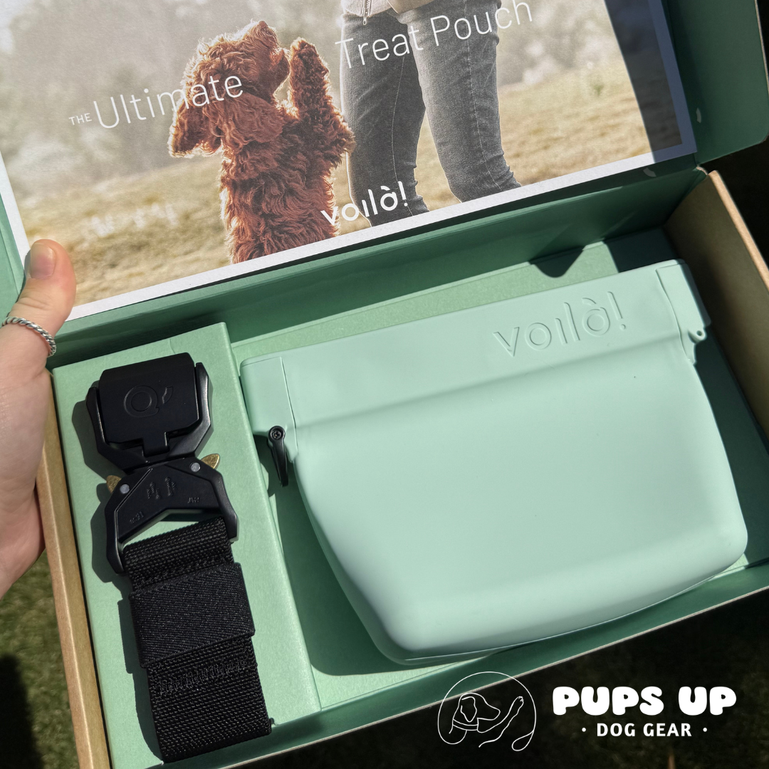 Voila Treat Pouch - Mint