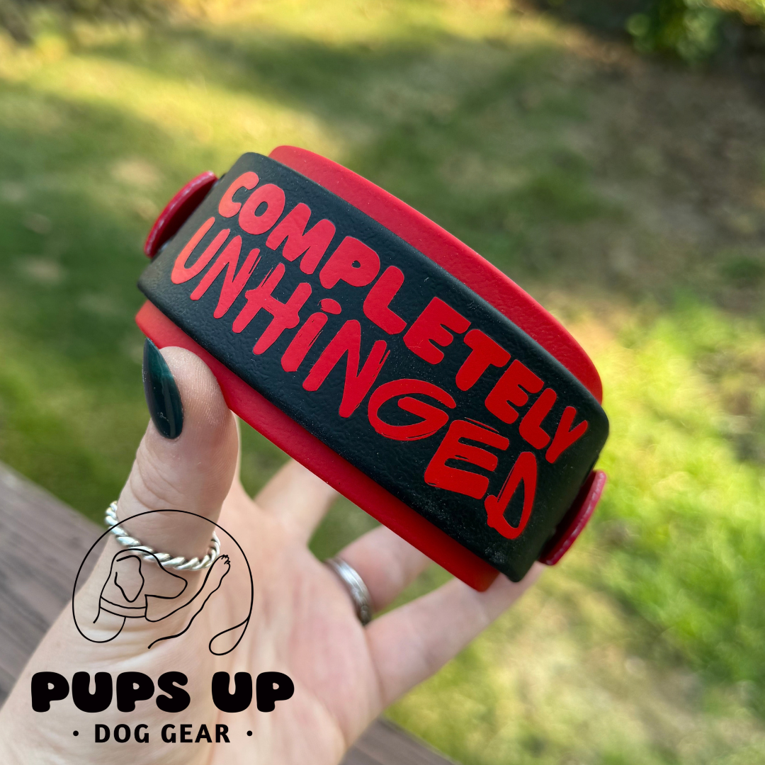 PREMADE 2" Completely Unhinged Collar