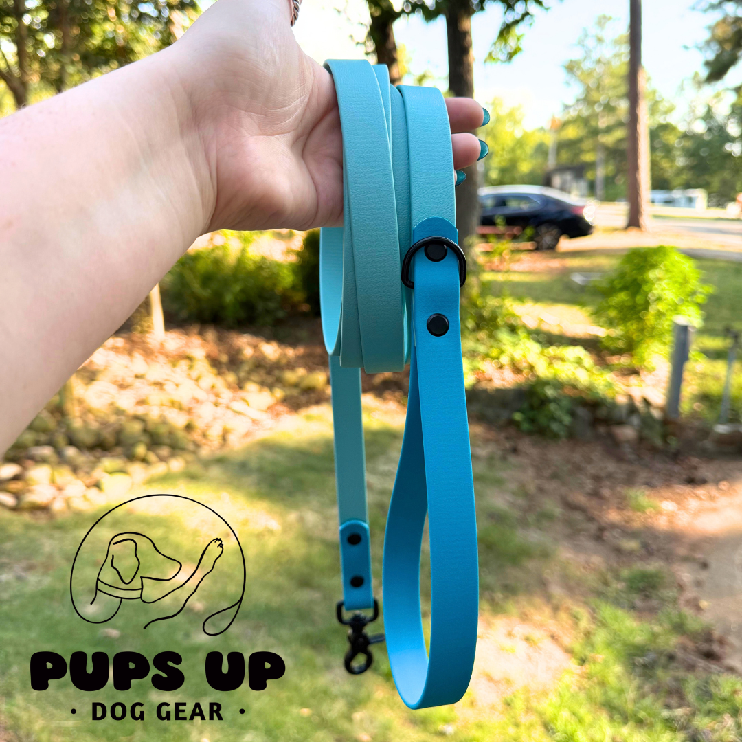 PREMADE OOPS - 10Ft Leash