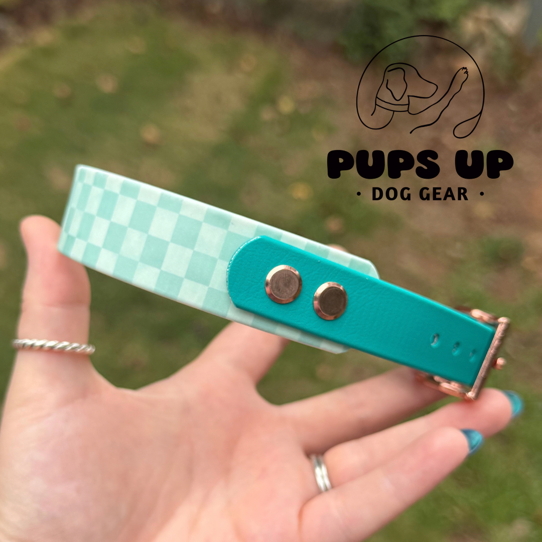 PREMADE 1" Tapered Mint Checkered Collar