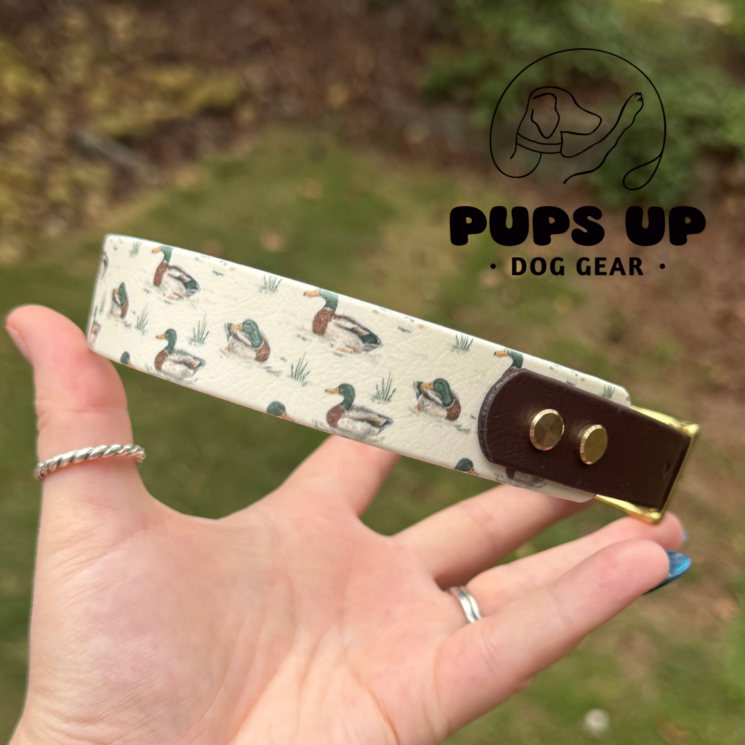 PREMADE 1" Tapered Mallard Duck Collar