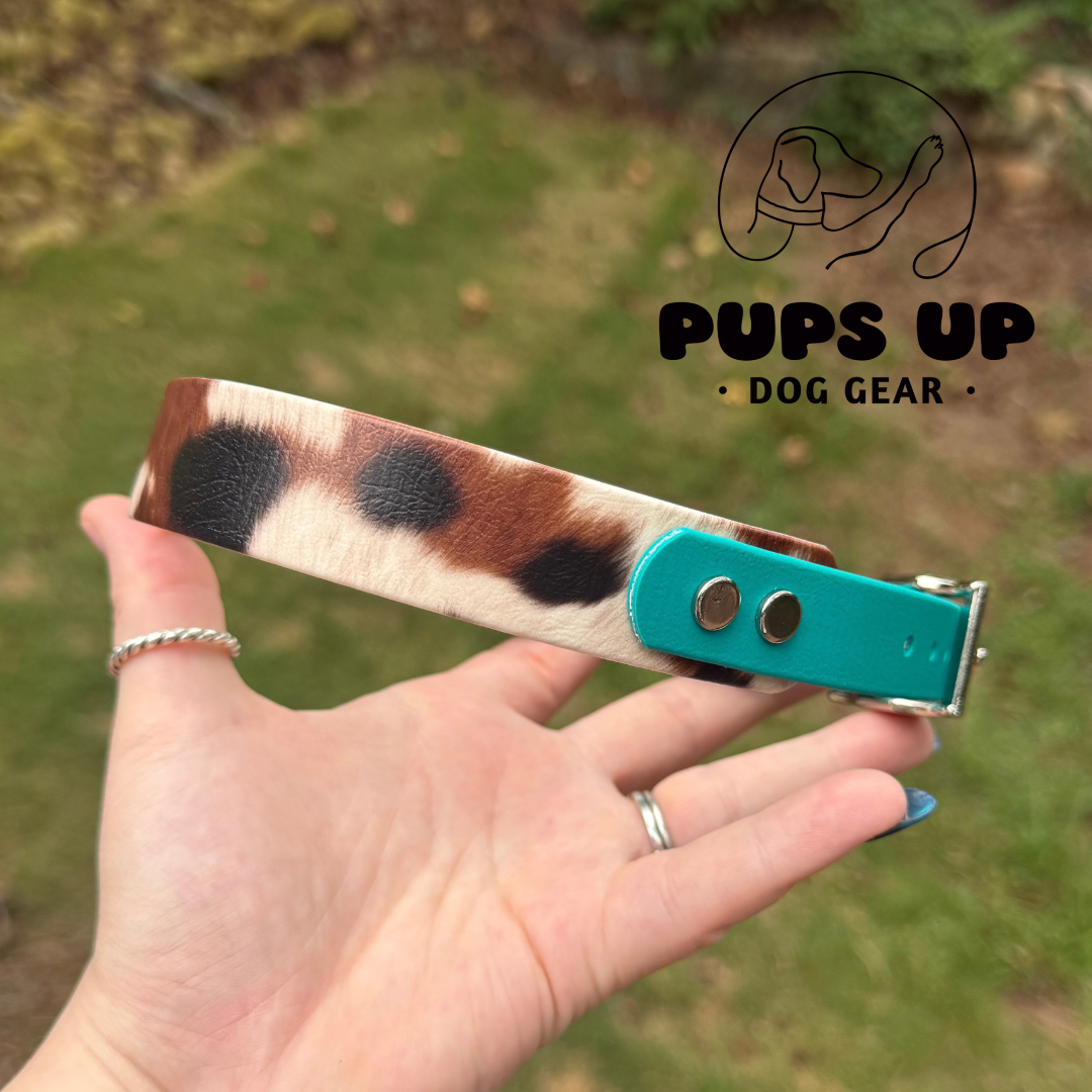 PREMADE 1" Tapered Cowhide Collar