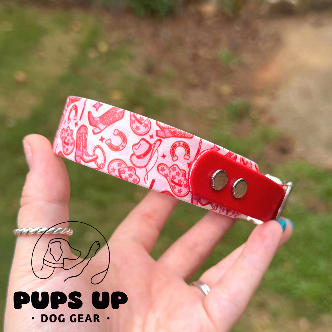 PREMADE 1" Tapered Pink Cowgirl Collar