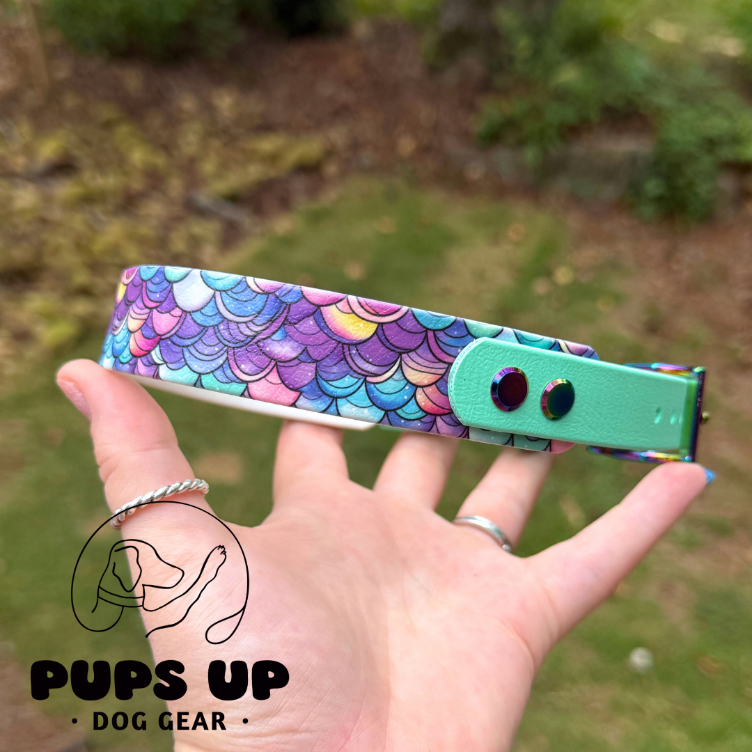PREMADE 1" Tapered Mermaid Collar