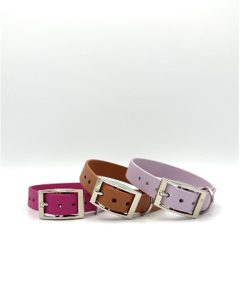 3/4" Standard Buckle Collar