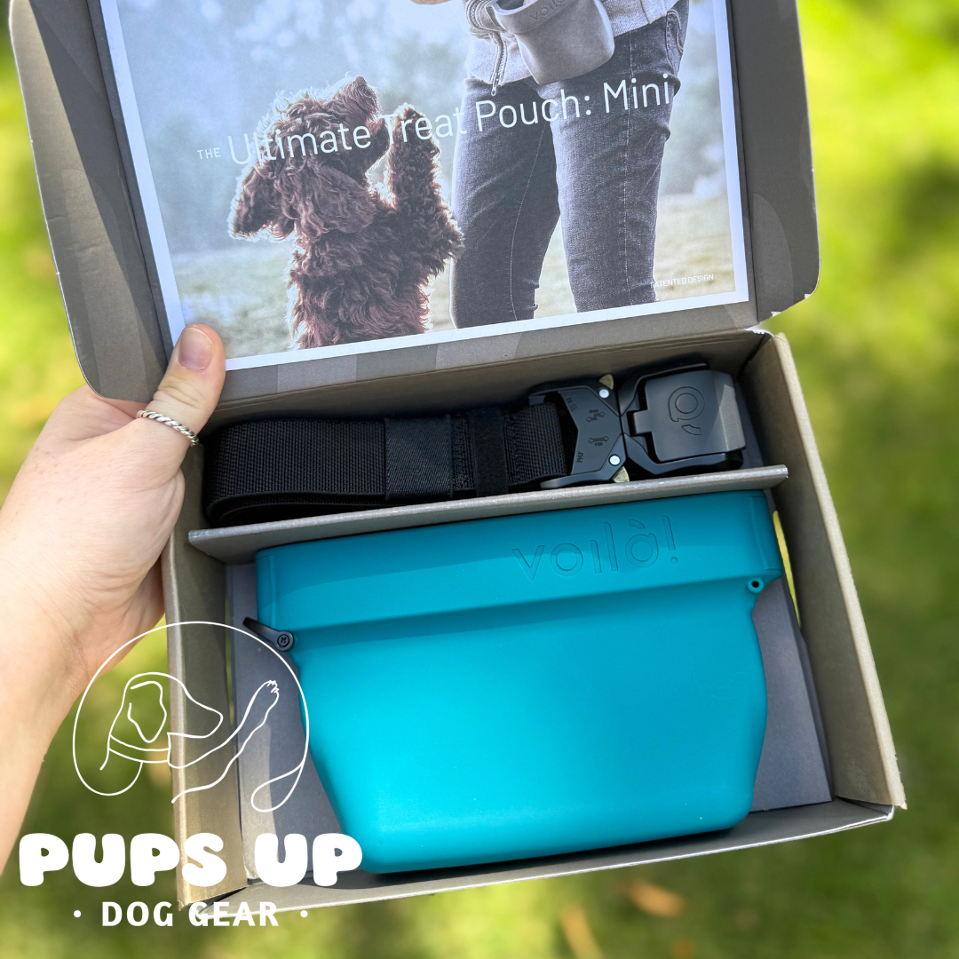 Voila Treat Pouch - Turquoise