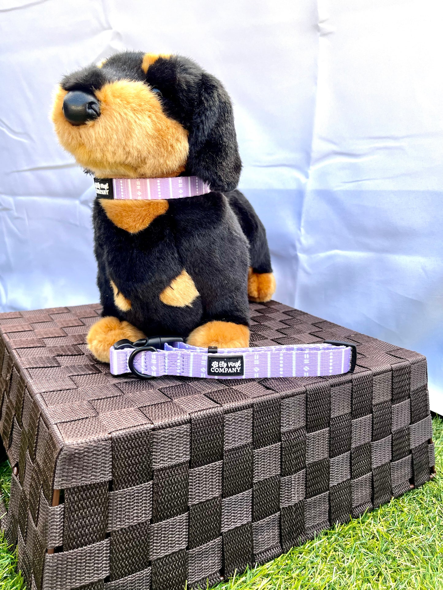 Purple Striped Dog Collar