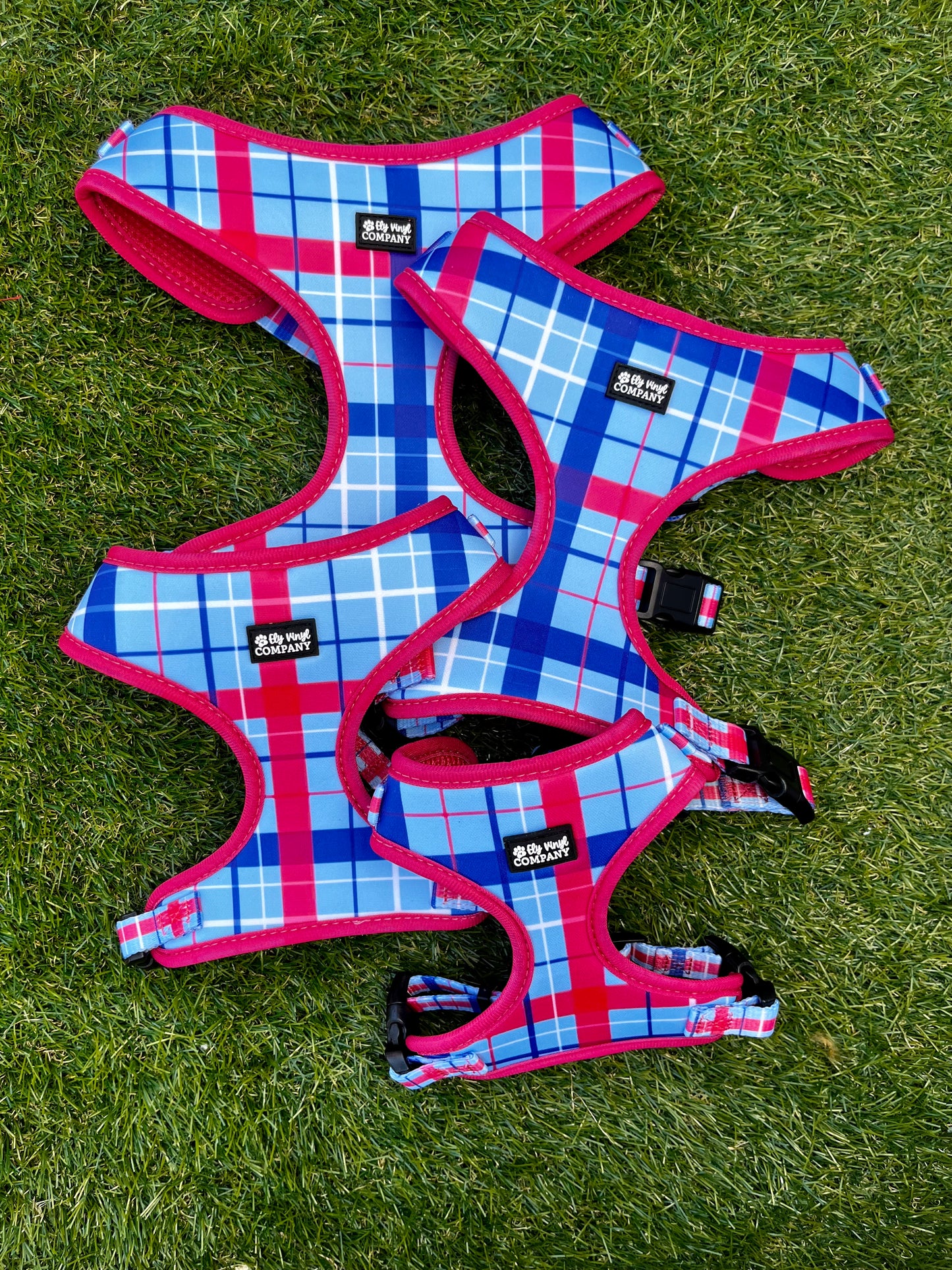 Red White and Blue Plaid Harness